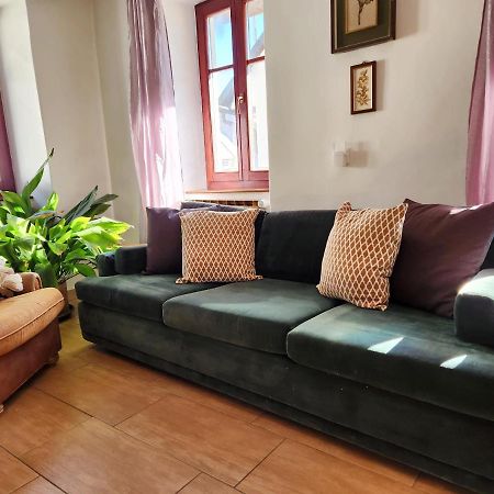 בובק Apartment Ski מראה חיצוני תמונה